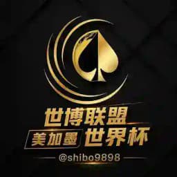 世博美加墨世界杯AI分析交流直播大群 Profile