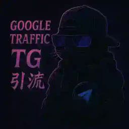 谷歌SEO｜推特｜脸书引流 Profile
