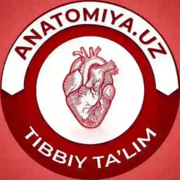 Anatomiya.uz o‘quv kursi Profile