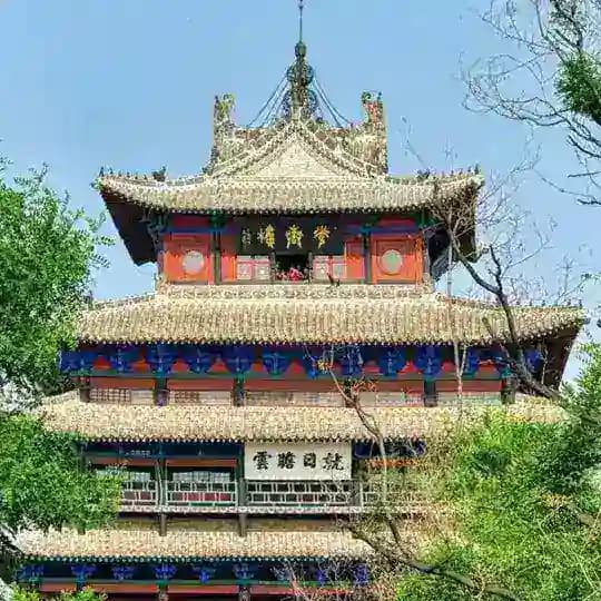 山东聊城学生会 Profile