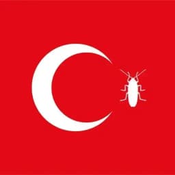 Turk — @stckrRobot Profile