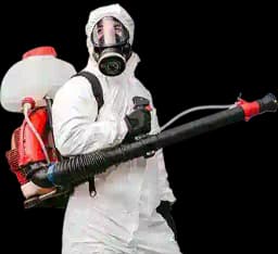 Vietnam Today Profile