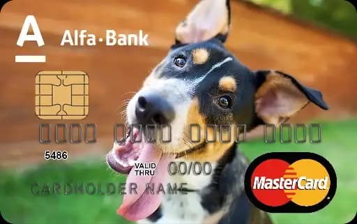 Alfa-Bank Cards Profile