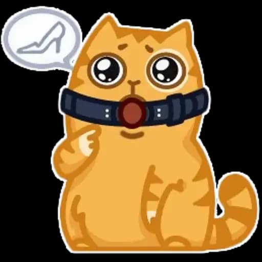 5 koteek serogo Profile