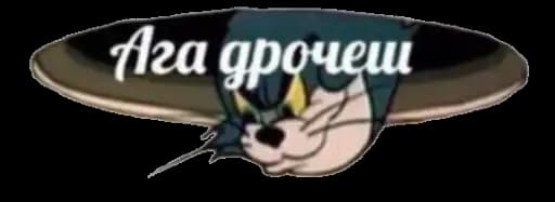 АГА ДРОЧЕШ Profile