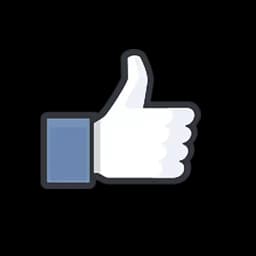 Facebook Likes Profile