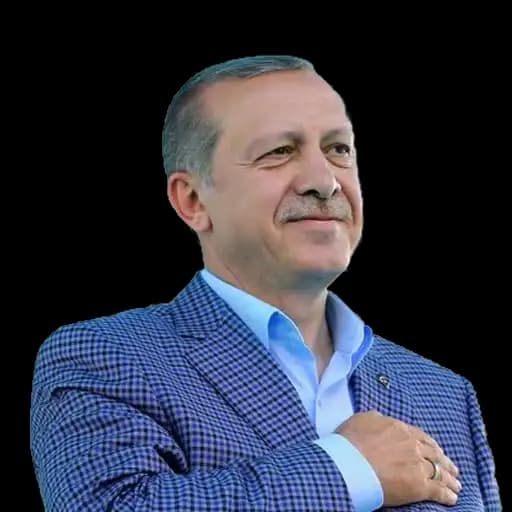 Mr. Erdogan Profile