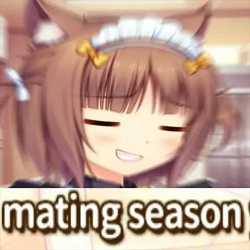 Nekopara | @nekoparaRU Profile