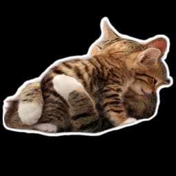 Sexy Animals Profile