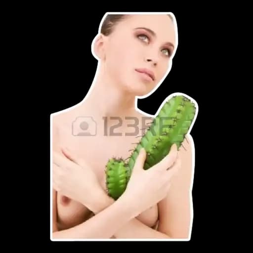 Stock buddies Profile