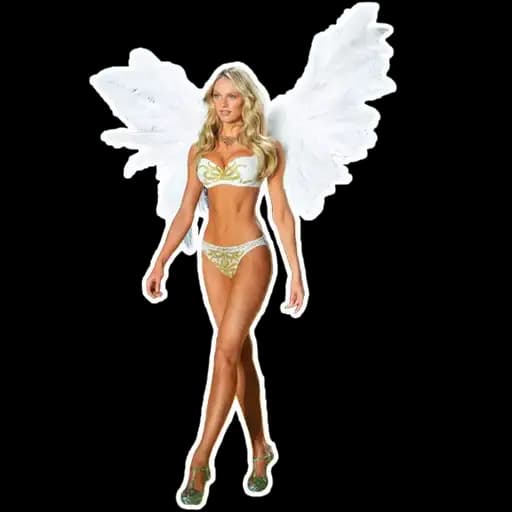 Victoria's Angels Profile