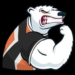 VP - VIRTUS.PRO Profile