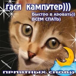 ВсратыеОдноклассники Profile