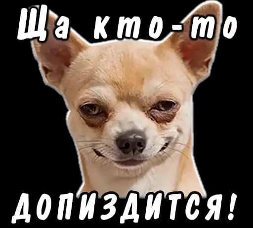 животные Profile