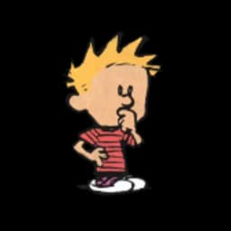 Calvin & Hobbes Profile
