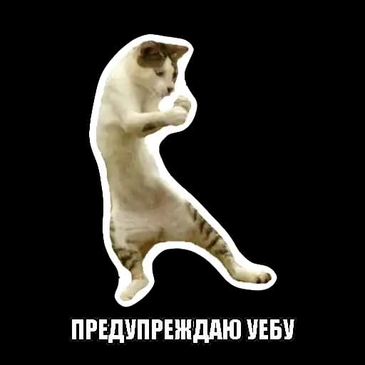 Ебанутые Животные (@memenimal) Profile