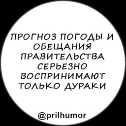 @prilhumor Фразы 01 Profile