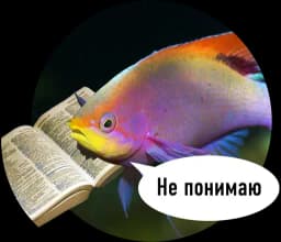 Рыбы пытаются читать Profile