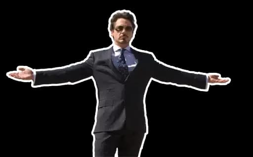 Robert Downey Jr Profile