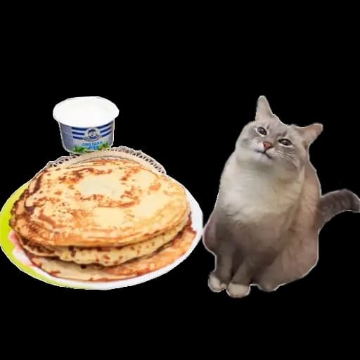 Strange cats bad clipping Profile