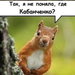 Лесная Школа Profile