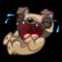 Fred the Pug Profile