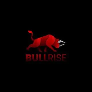 BullRise Airdrop Profile