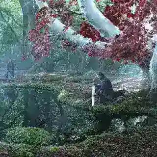 روايات عالم الجليد والنار ❄🔥 Profile