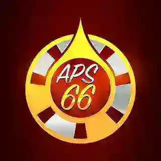 APS66 _ Service Profile