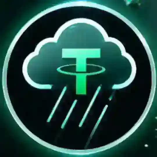 Rain USDT π² Profile