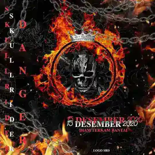SKULLRIDERDANGER Profile
