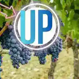 Uppity Gossip Profile