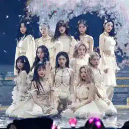 SAC LOONA BR Profile