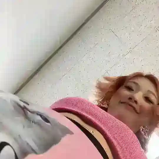ini namanya bot Profile