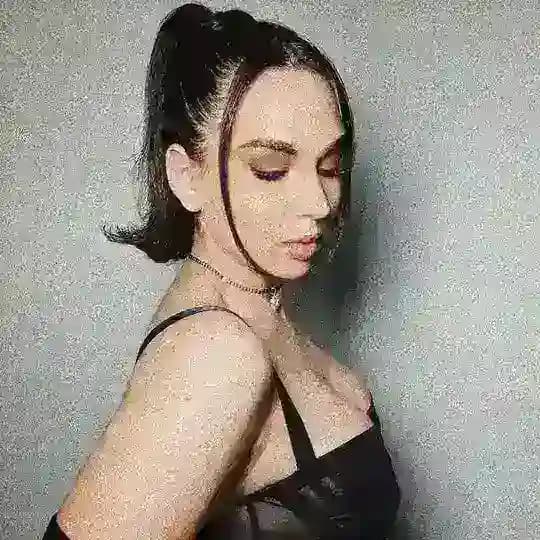 Данонкин дневник