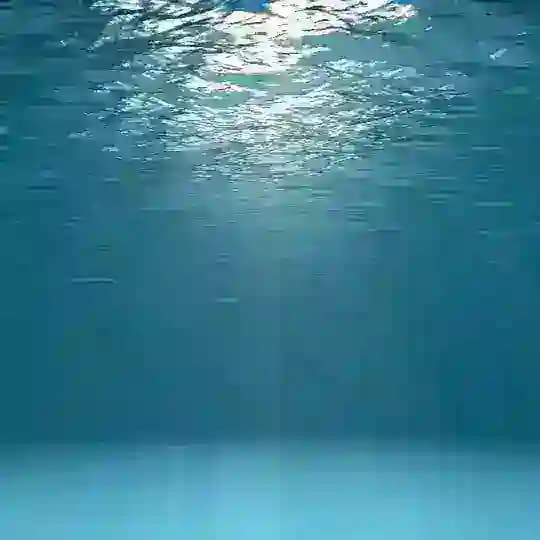 Радио Радонеж Главный Редактор
