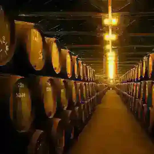 🍷Подвал вина