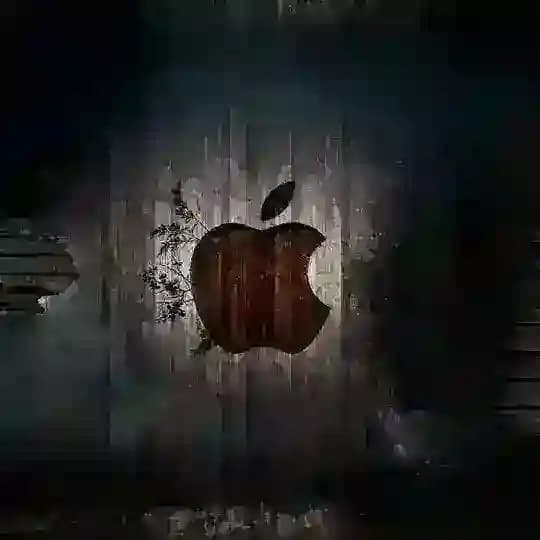 AnDy Store live