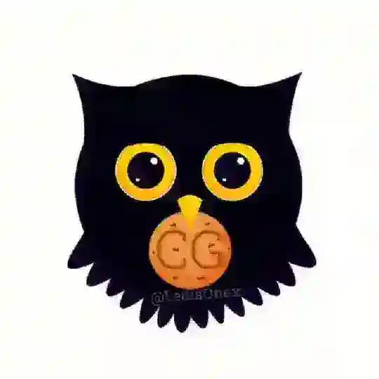 CGIOwl Profile