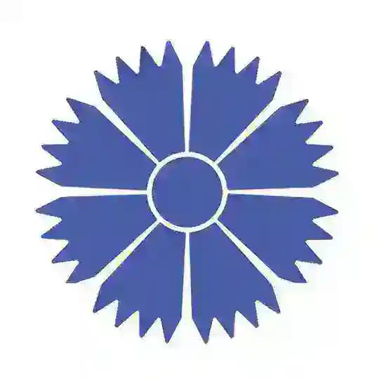 BELAVIA - Belarusian Airlines Profile