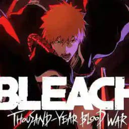 Bleach IN Hindi Dubbed Profile