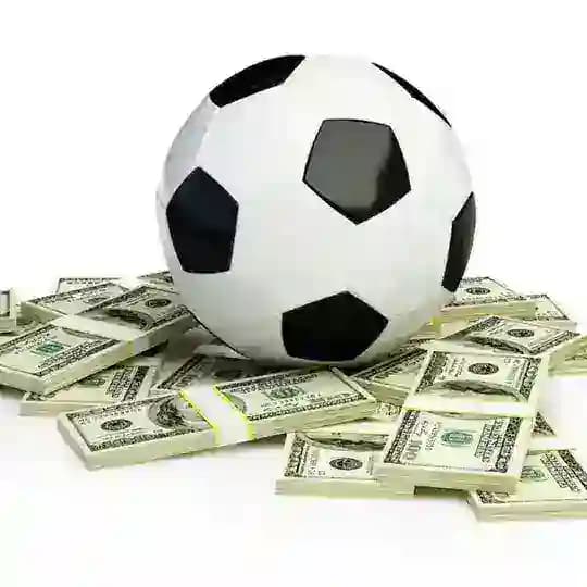 Fixed tips Dynastyยฎ Profile