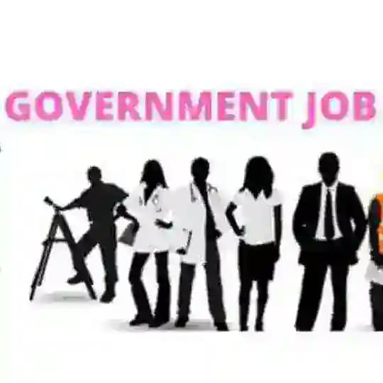 Government Job