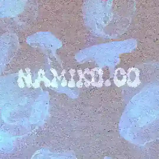 namiko.co ଳ·₊°⋅ Profile