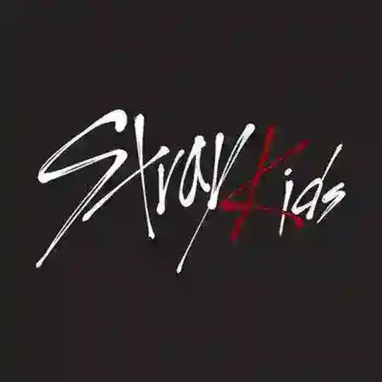 π STRAYKIDS π