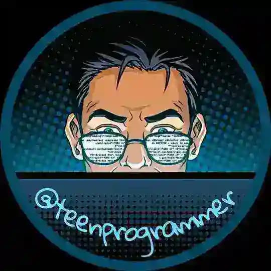 Teen Programmer