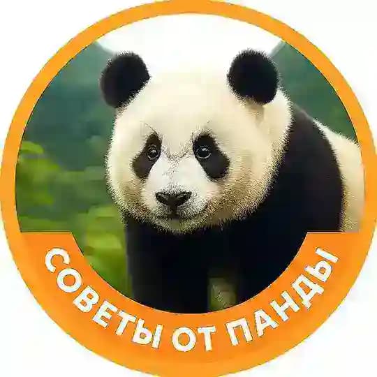 Хайнань, советы от Панды Profile