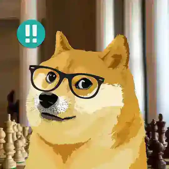Chess Gallery ™