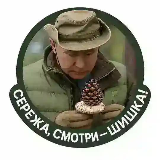 СЕРЁЖА, СМОТРИ — ШИШКА! Profile