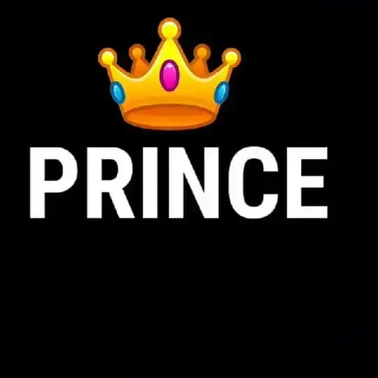 PRINCE FIXED REPORT